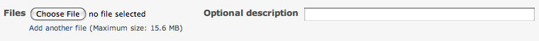 Upload file input form